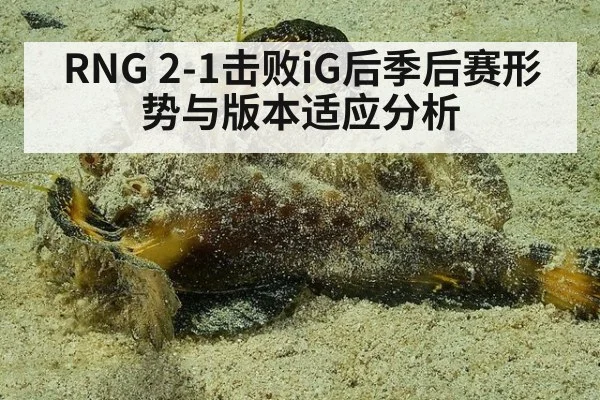 RNG 2-1击败iG后季后赛形势与版本适应分析