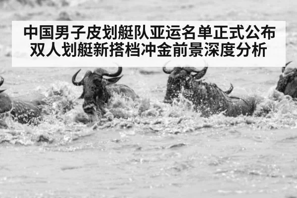 中国男子皮划艇队亚运名单正式公布 双人划艇新搭档冲金前景深度分析